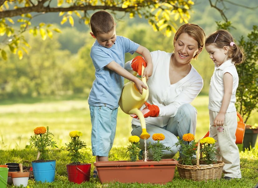 Introducing kids to gardening utah