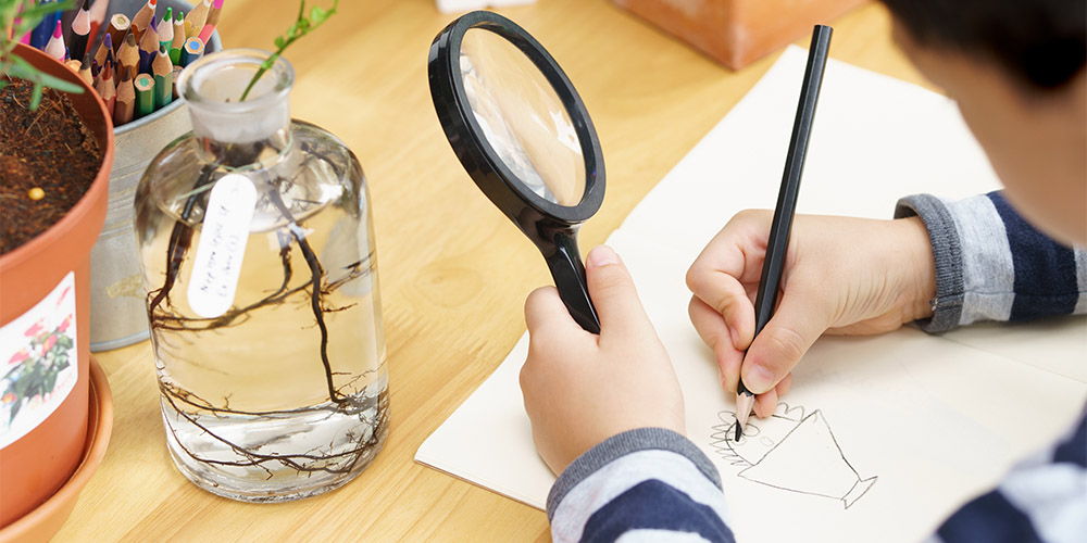 Millcreek Gardens-Salt Lake City-Utah-Engaging Your Kids with Nature in Utah-studying nature Millcreek Gardens-Salt Lake City-Utah-Engaging Your Kids with Nature in Utah-studying nature