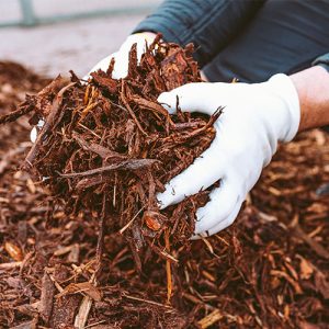 Millcreek Gardens-Salt Lake City-Utah-Watering Tips and Techniques for Utah-adding mulch