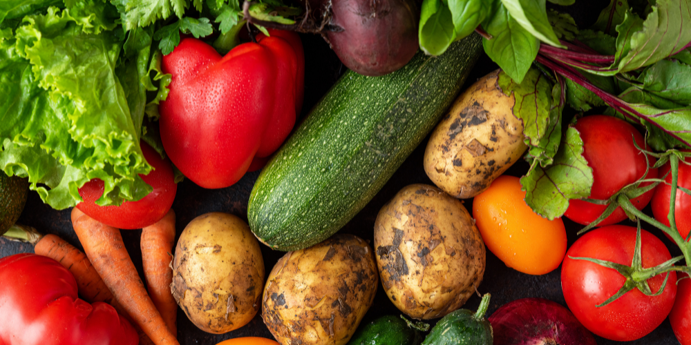 Millcreek Gardens-Salt Lake City-Utah-Harvesters Guide to Picking Veggies-summer harvest
