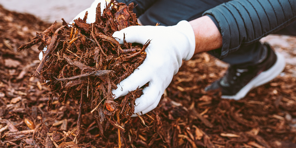 Millcreek Gardens-Salt Lake City-Utah-Welcoming Pollinators to Your Garden-adding mulch Millcreek Gardens-Salt Lake City-Utah-Welcoming Pollinators to Your Garden-adding mulch
