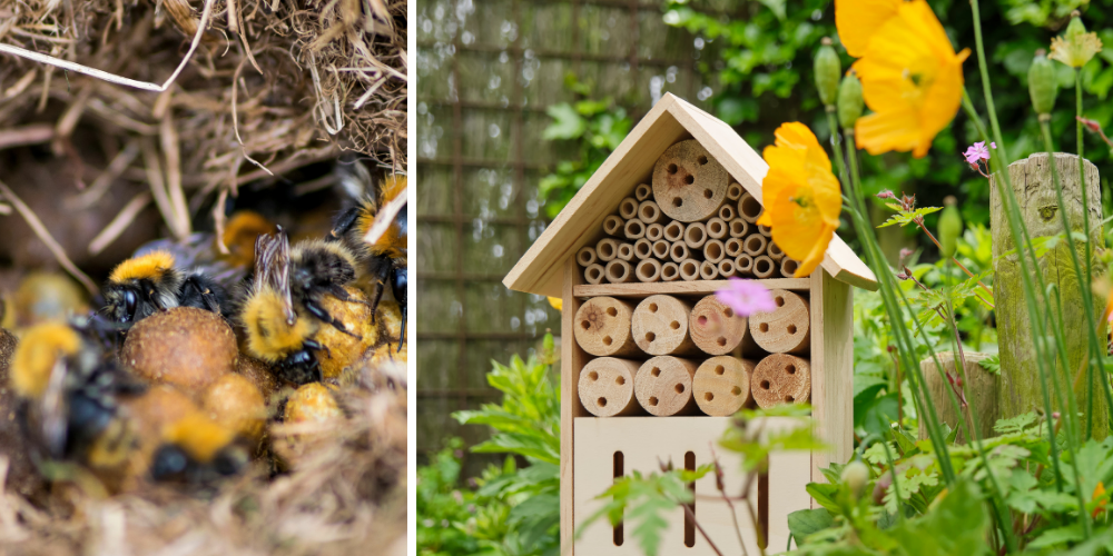 Millcreek Gardens-Salt Lake City-Utah-Welcoming Pollinators to Your Garden-bee shelters Millcreek Gardens-Salt Lake City-Utah-Welcoming Pollinators to Your Garden-bee shelters