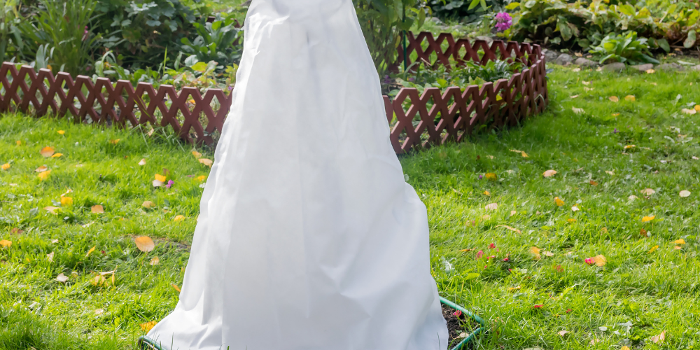 Millcreek Gardens-Salt Lake City-Utah-Fall is for planting-frost cover