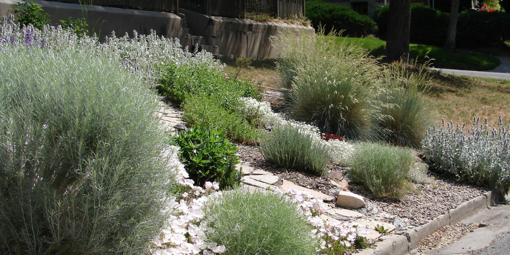 Millcreek Gardens-Salt Lake City-Utah-Xeriscaping in the Garden-drought tolerant garden Millcreek Gardens-Salt Lake City-Utah-Xeriscaping in the Garden-drought tolerant garden